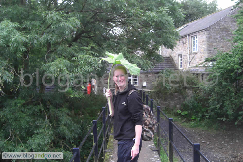 Improvised umbrella